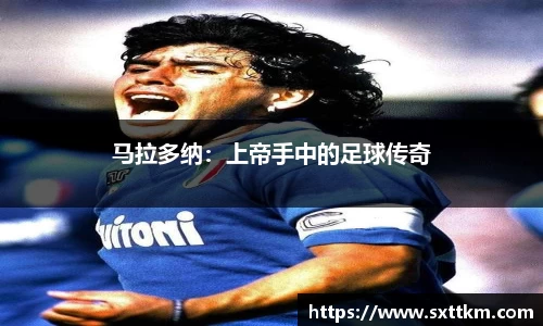 星空综合(中国)官方网站